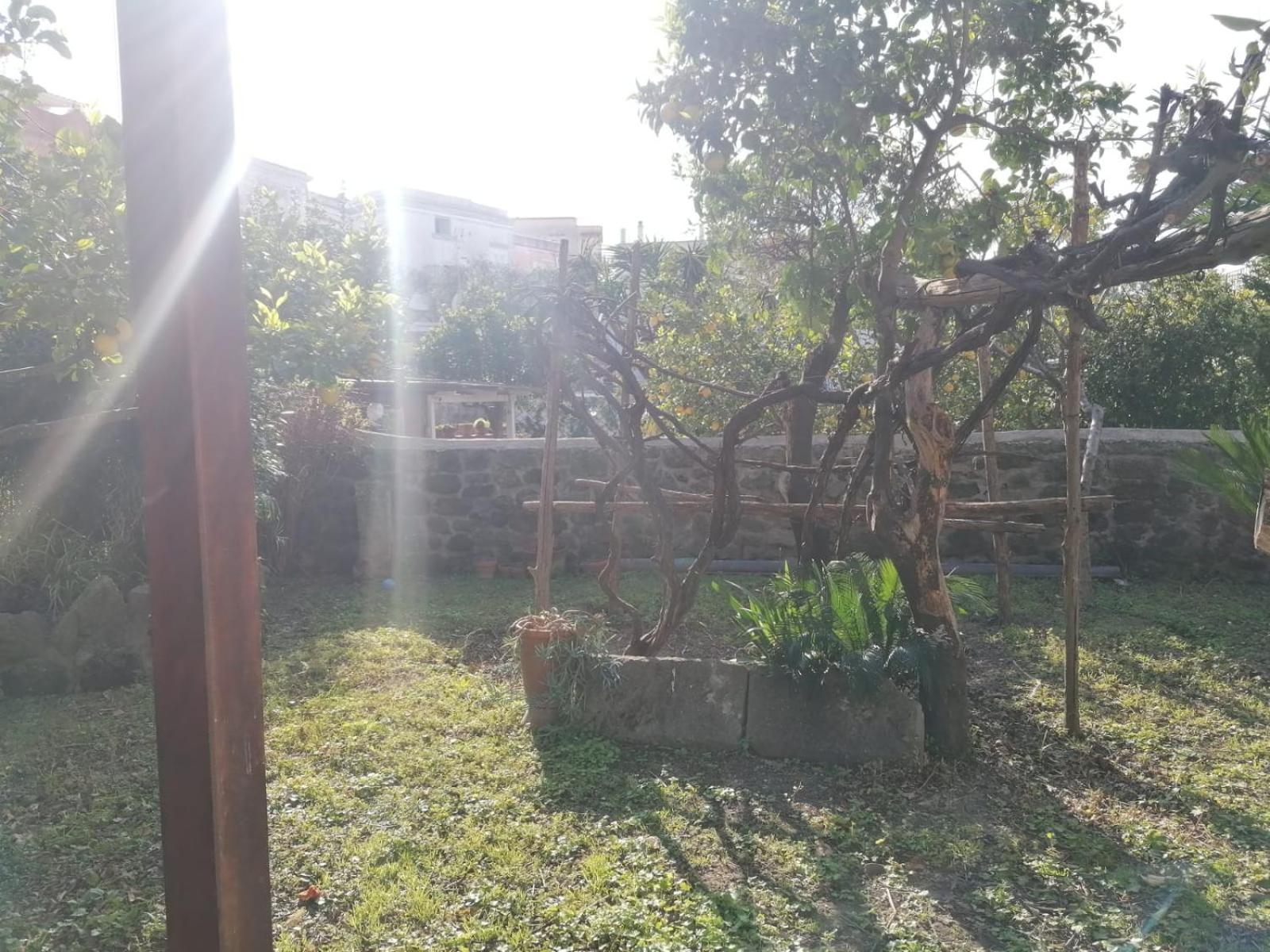 Dimora Coloniale B&B Forio di Ischia Zewnętrze zdjęcie
