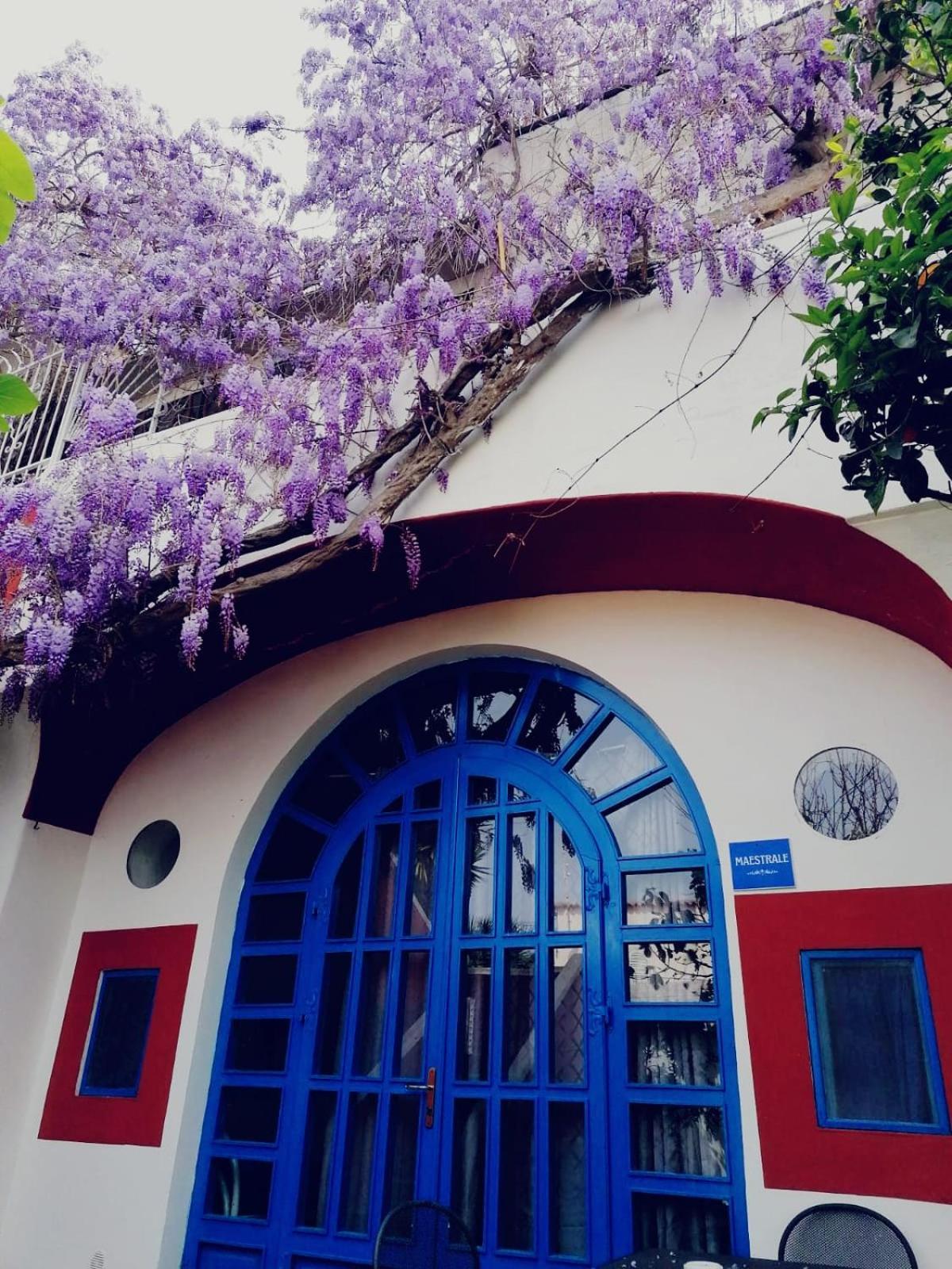 Dimora Coloniale B&B Forio di Ischia Zewnętrze zdjęcie